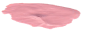 Puce de paragraphe